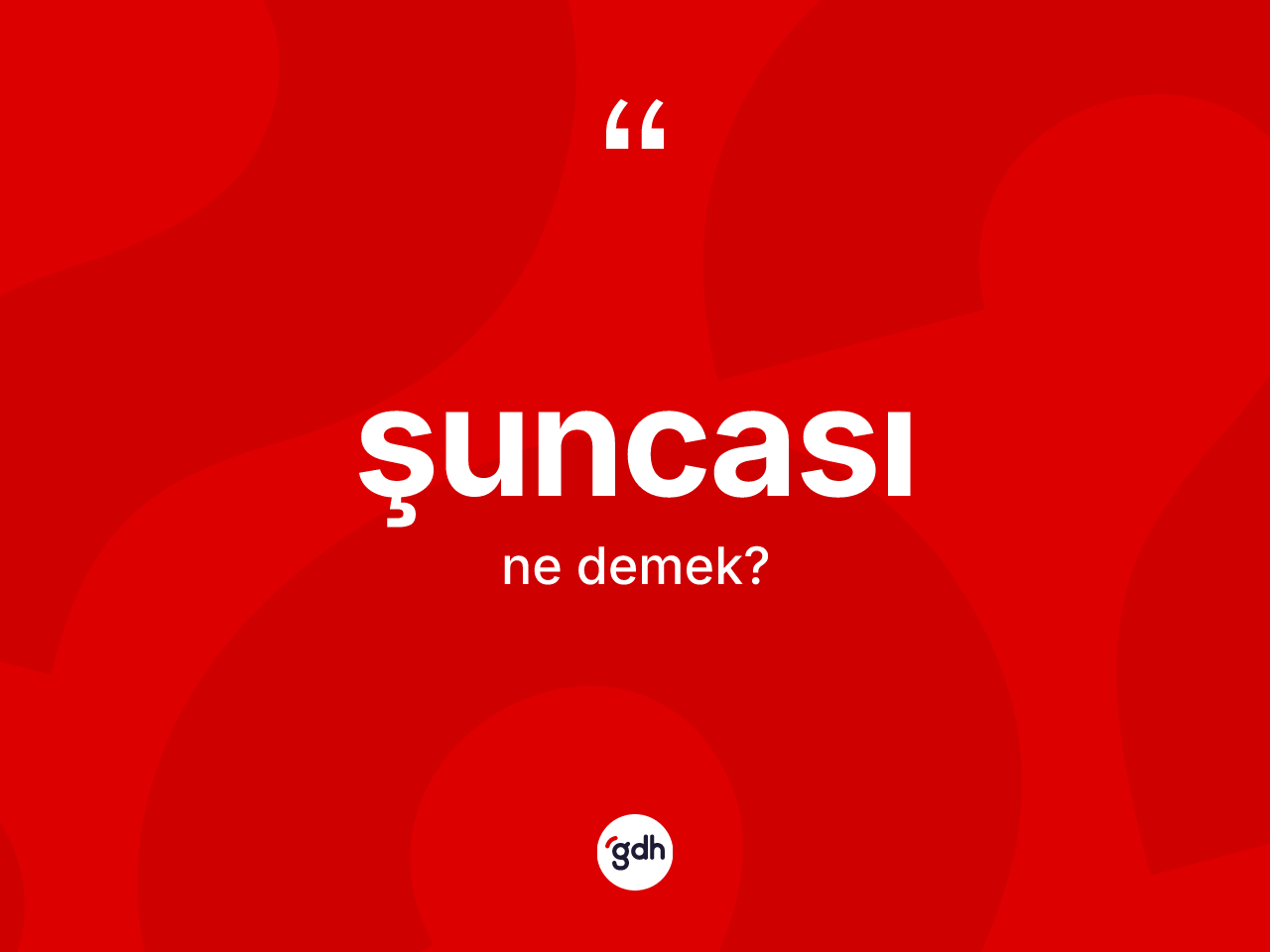 Şuncası kelimesi nedir? Şuncası kelimesinin özellikleri nelerdir?