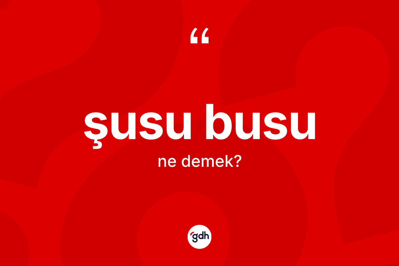 Şusu busu ne demek? Şusu busu ifadesi nerede kullanılır?