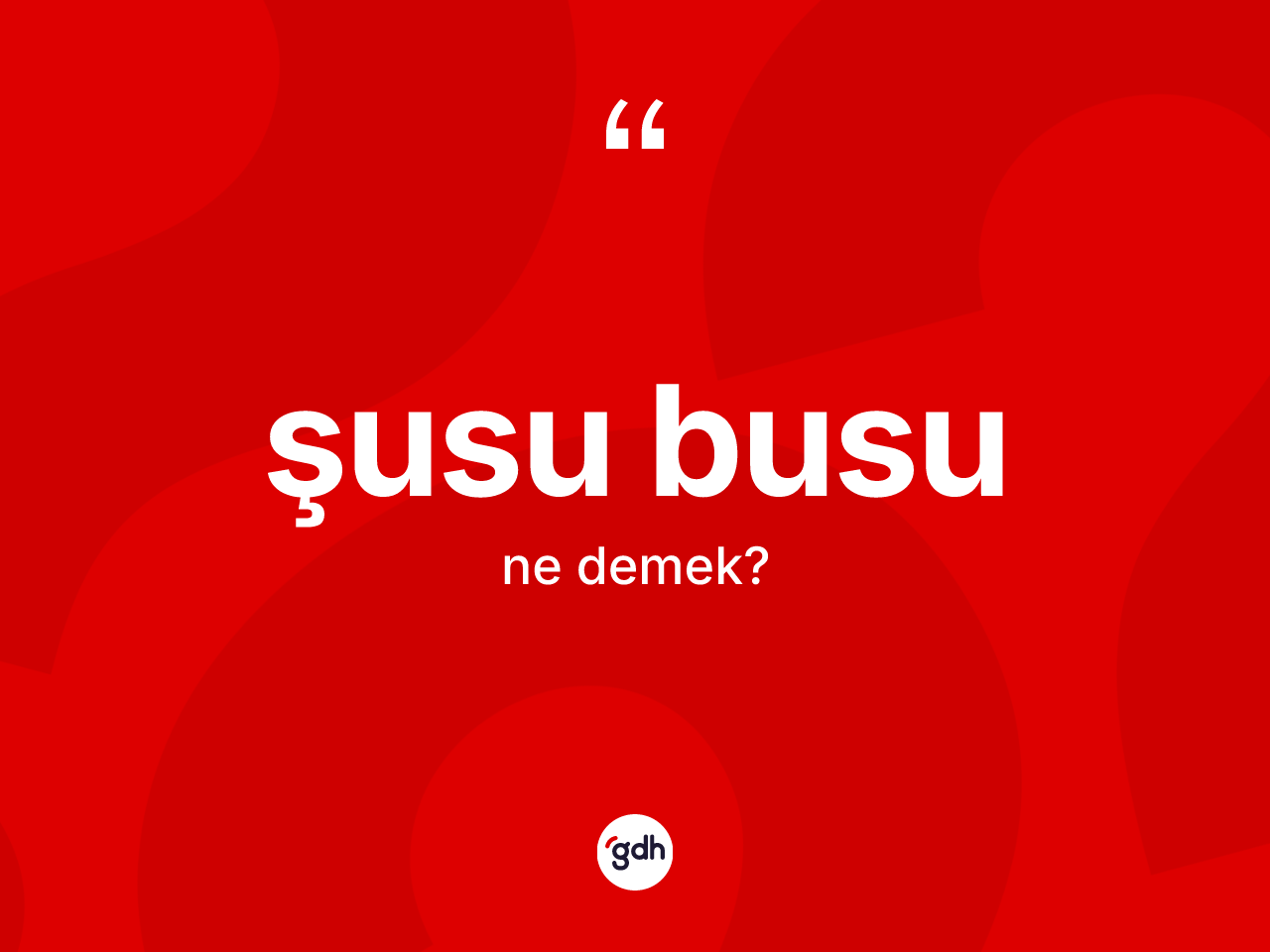 Şusu busu ne demek? Şusu busu ifadesi nerede kullanılır?