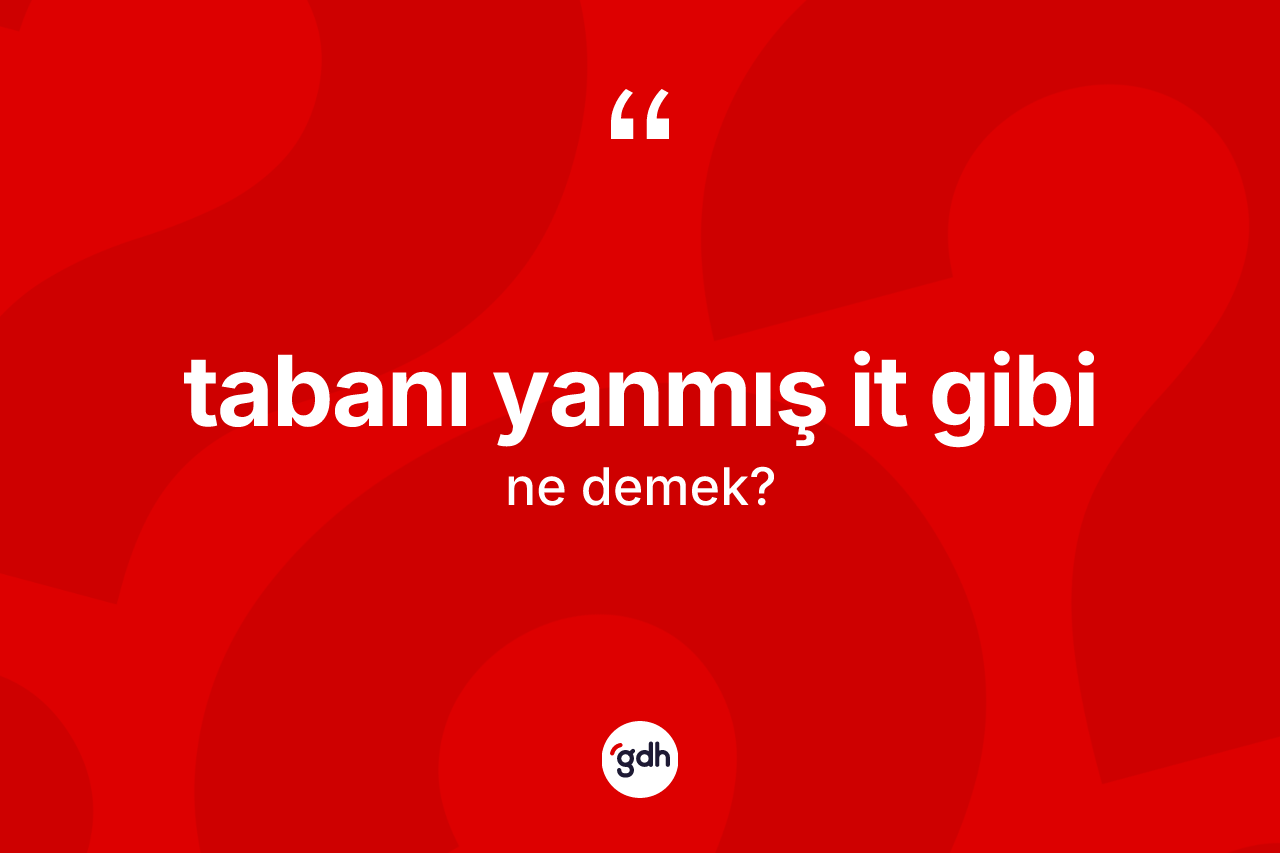 Tabanı yanmış it gibi ifadesinin kısaca tanımı nedir? Tabanı yanmış it gibi sözü nerede kullanılır?