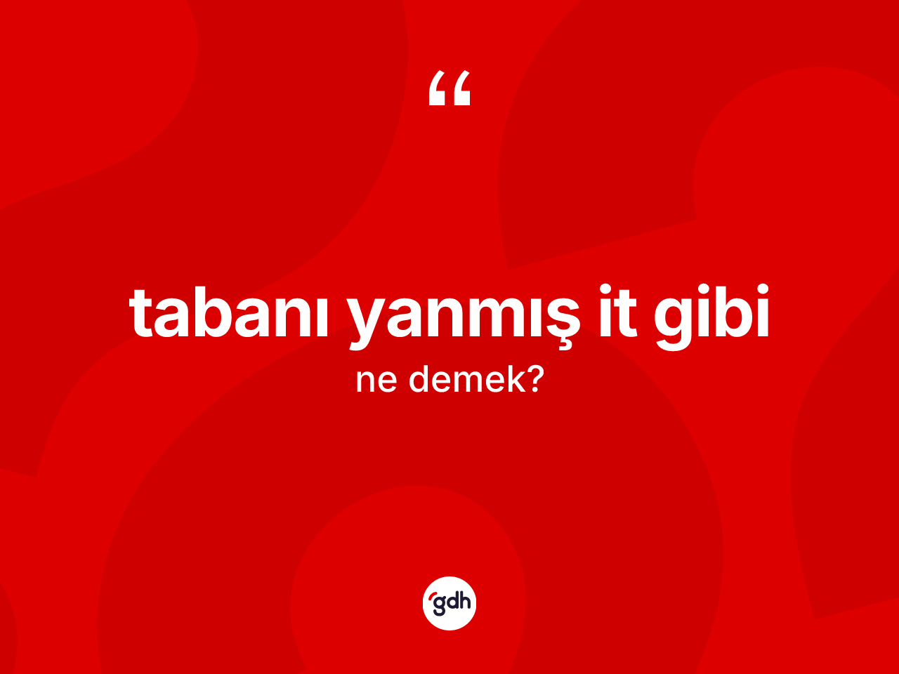 Tabanı yanmış it gibi ifadesinin kısaca tanımı nedir? Tabanı yanmış it gibi sözü nerede kullanılır?