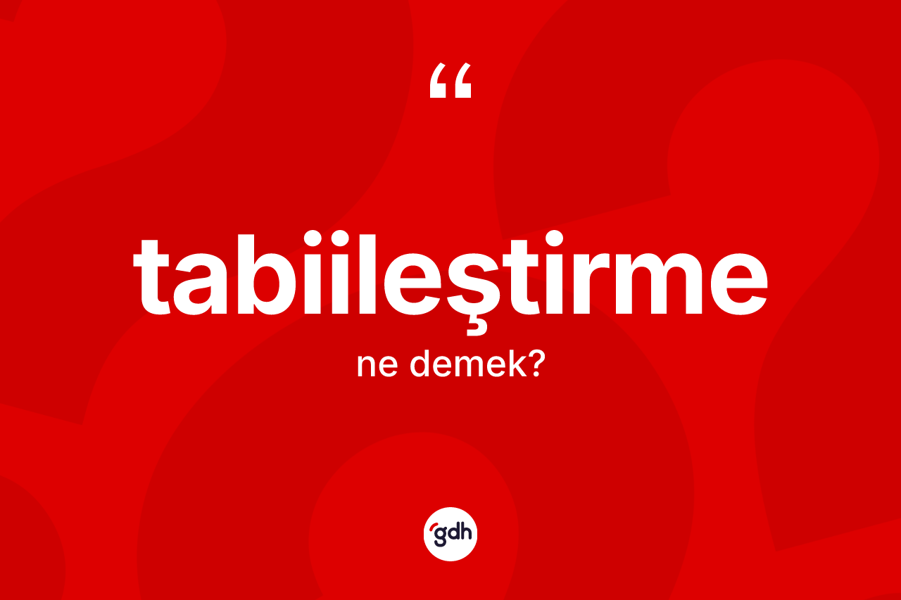Tabiileştirme kelimesi ne anlama gelir? Tabiileştirmenin TDK'ya göre anlamı nedir?