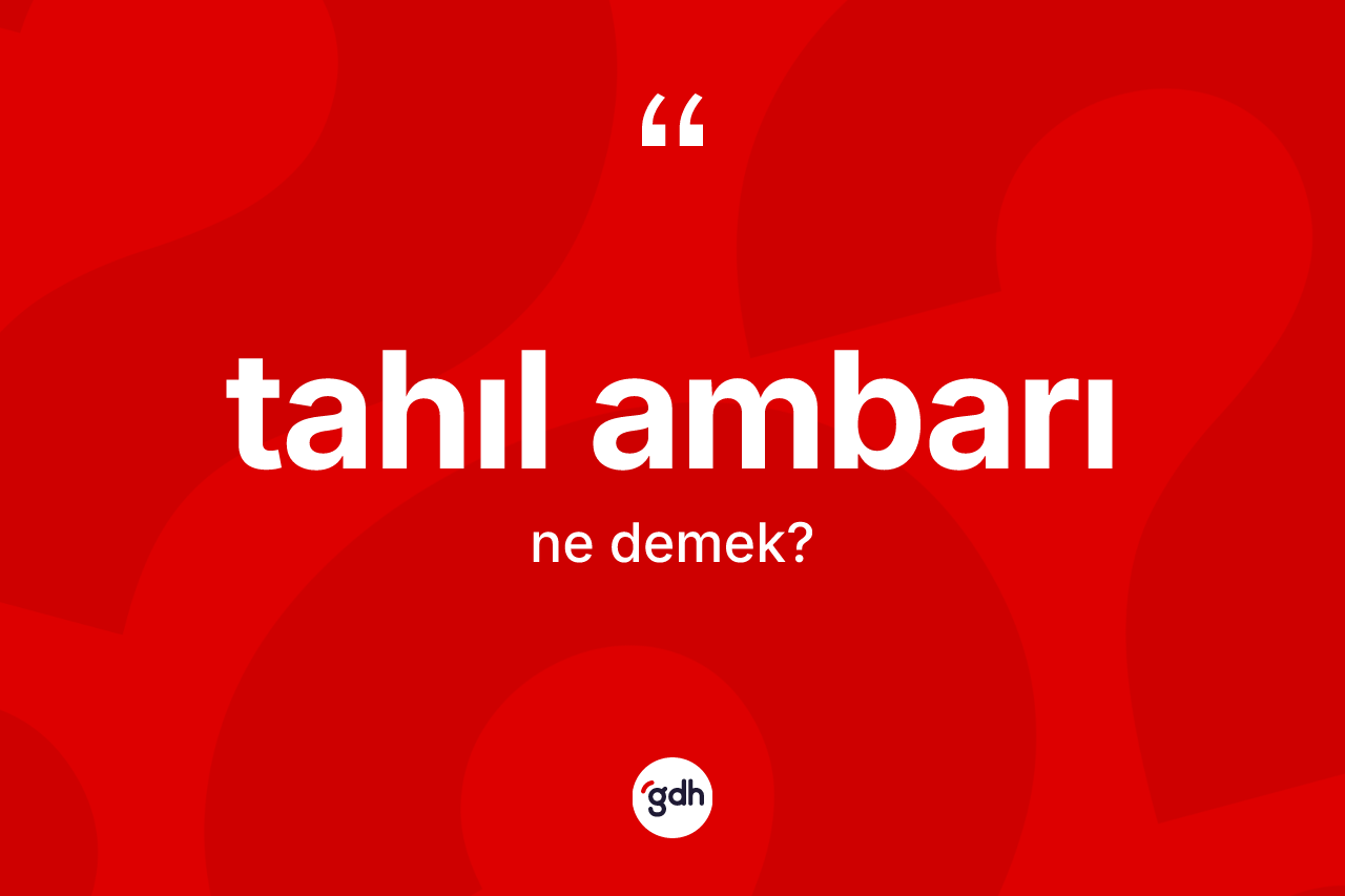 Tahıl ambarı kelimesinin sözlükteki tanımı nedir? Tahıl ambarı kelimesinin kaç farklı anlamı var?