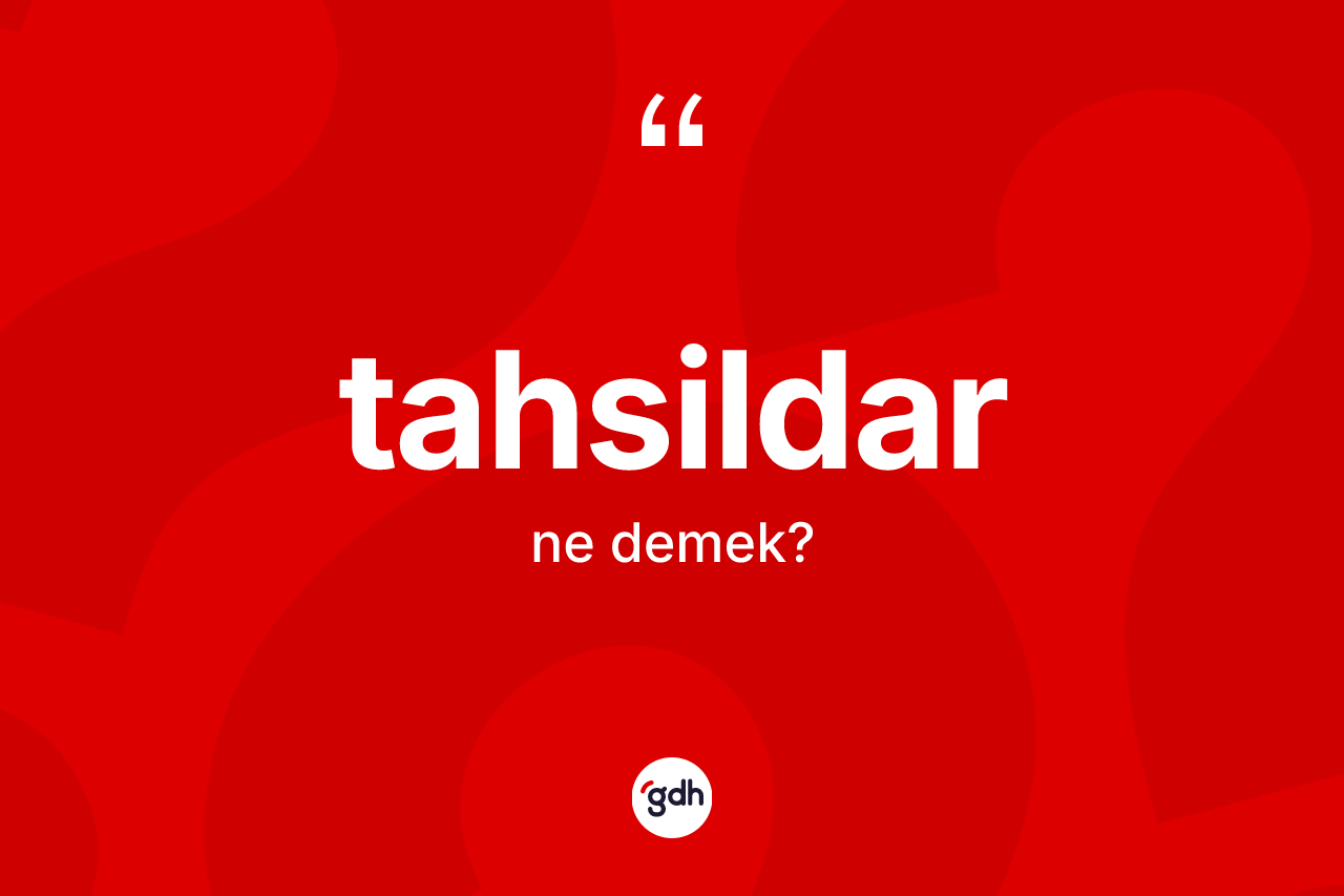 Tahsildar kelimesi ne anlama gelir? Tahsildarın kısaca tanımı nedir?