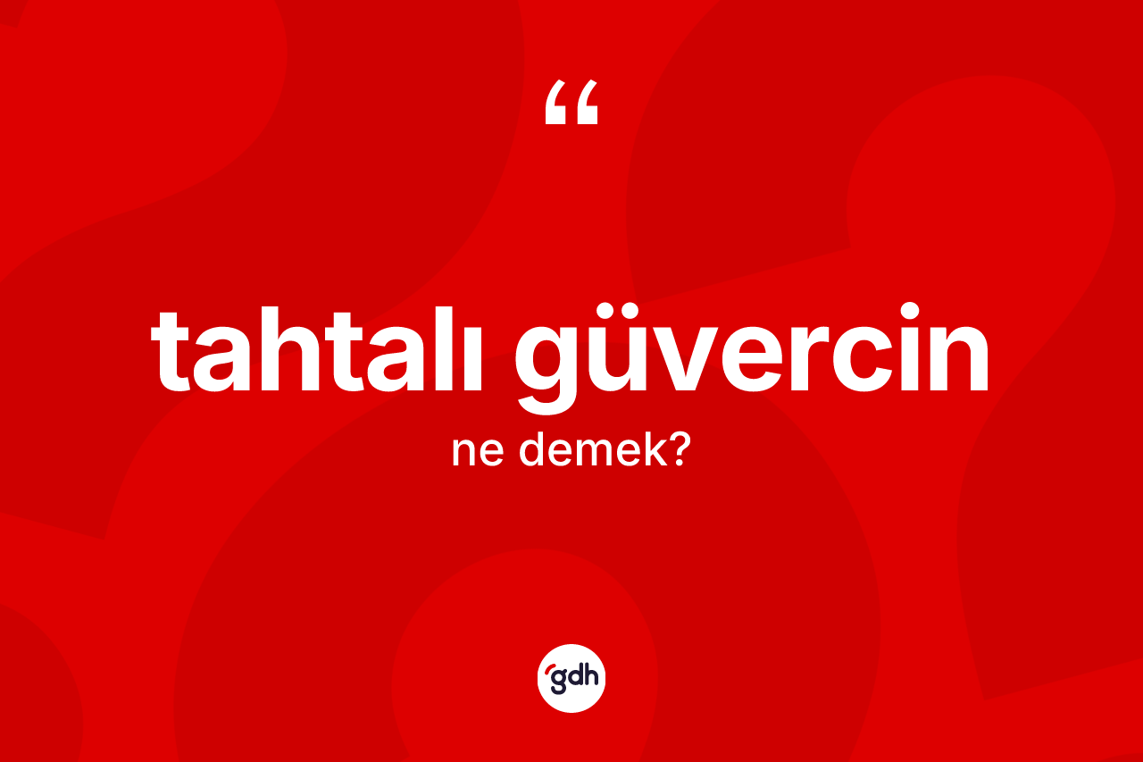 Tahtalı güvercin kelimesinin anlamı nedir? Tahtalı güvercinin TDK'ya göre anlamı nedir?