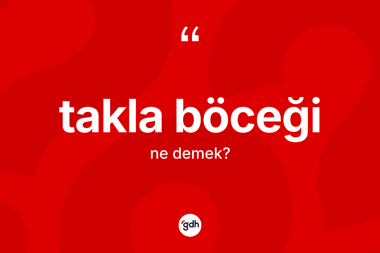 Takla böceği kelimesi nedir? Takla böceğinin kısaca tanımı nedir?