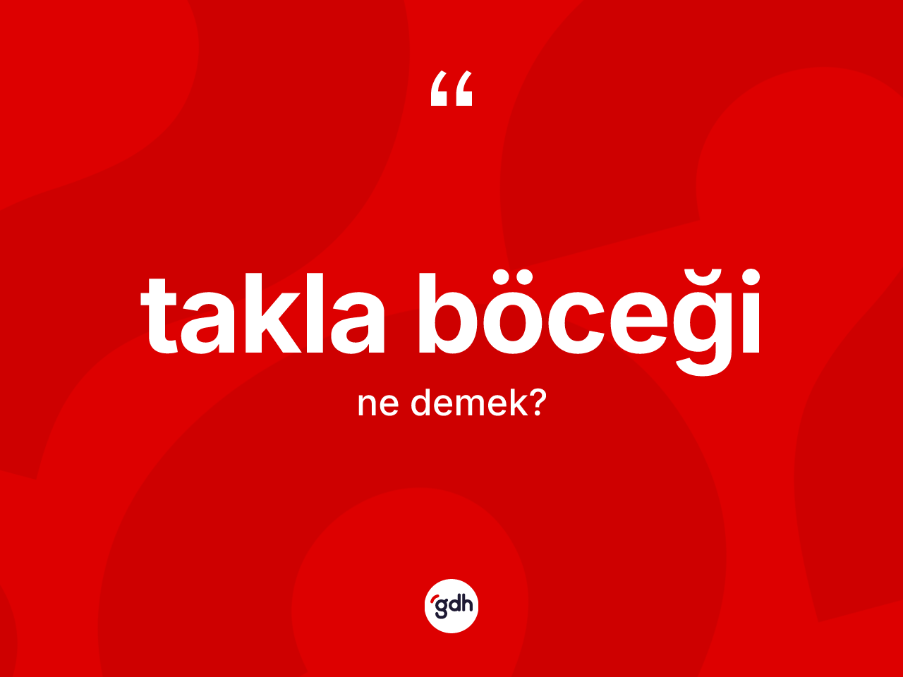 Takla böceği kelimesi nedir? Takla böceğinin kısaca tanımı nedir?