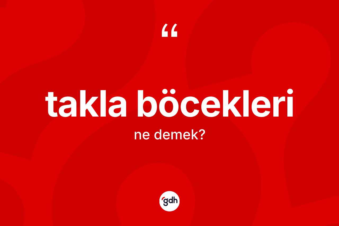 Takla böcekleri kelimesinin sözlükteki tanımı nedir? Takla böceklerinin TDK'ya göre anlamı nedir?