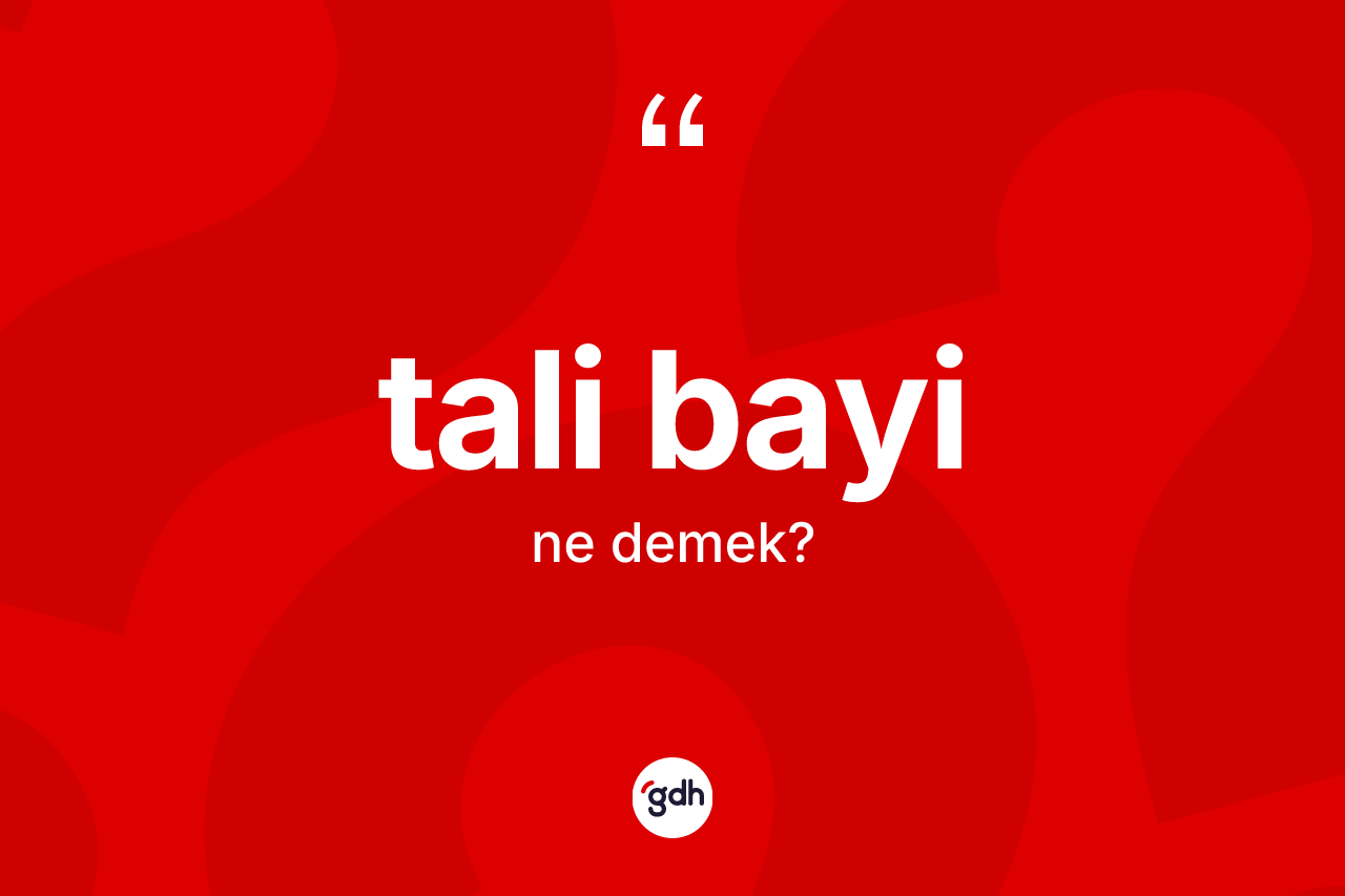 Tali bayi kelimesi ne anlama gelir? Tali bayinin kısaca tanımı nedir?