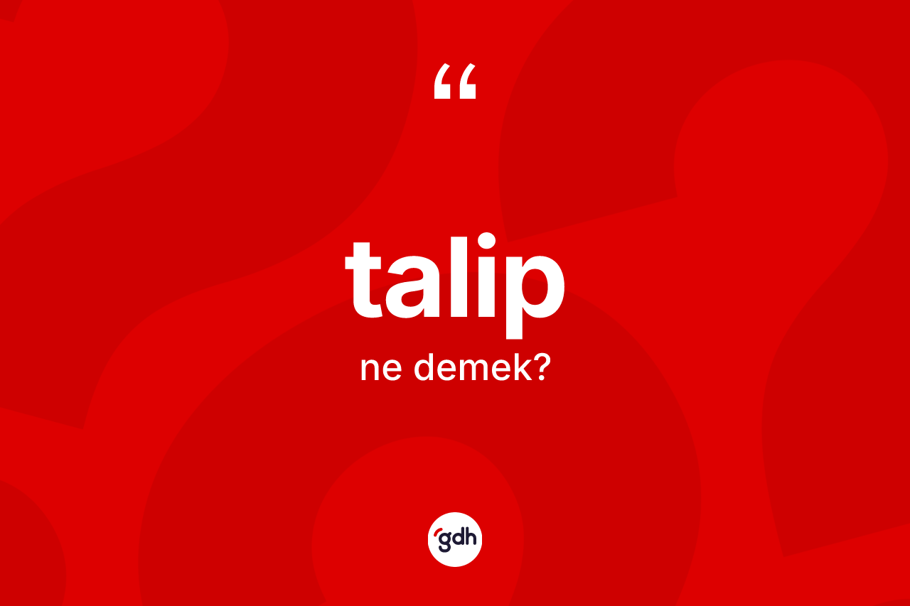 Talip kelimesinin tanımı nedir? Talibin TDK'ya göre anlamı nedir?