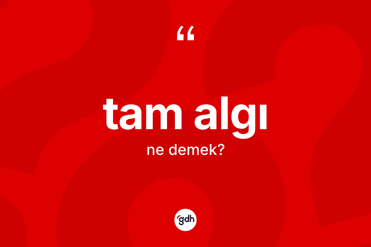 Tam algı kelimesinin anlamı nedir? Tam algı kelimesinin TDK'ya göre açıklaması nedir?