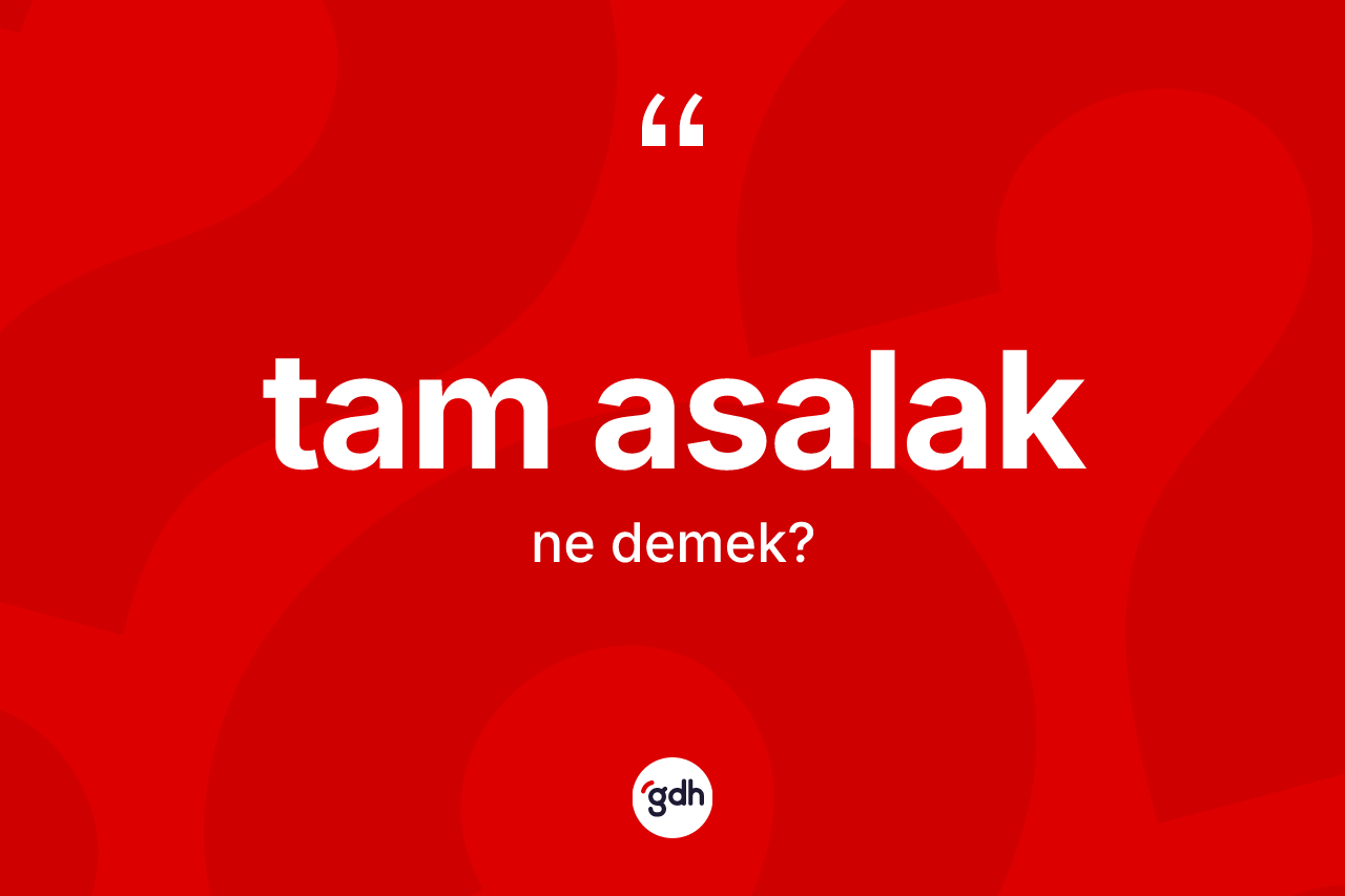 Tam asalak ne anlama gelir? Tam asalak kelimesinin kaç farklı anlamı var?