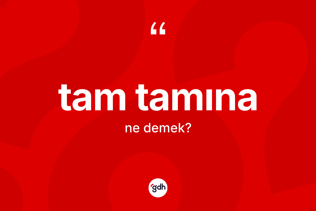 Tam tamına kelimesi ne demek? Tam tamınanın TDK'ya göre anlamı nedir?
