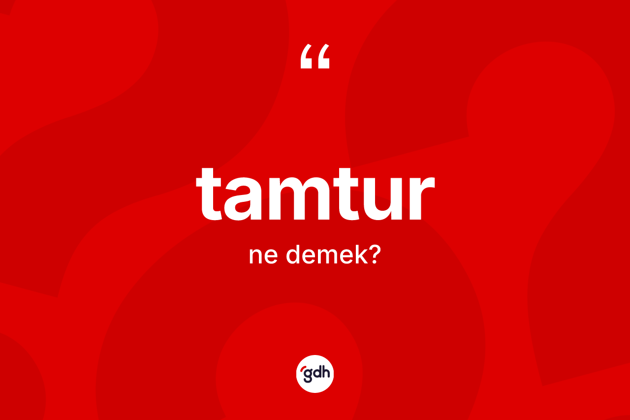 Tamtur kelimesinin tanımı nedir? Tamtur kelimesinin kaç farklı anlamı var?