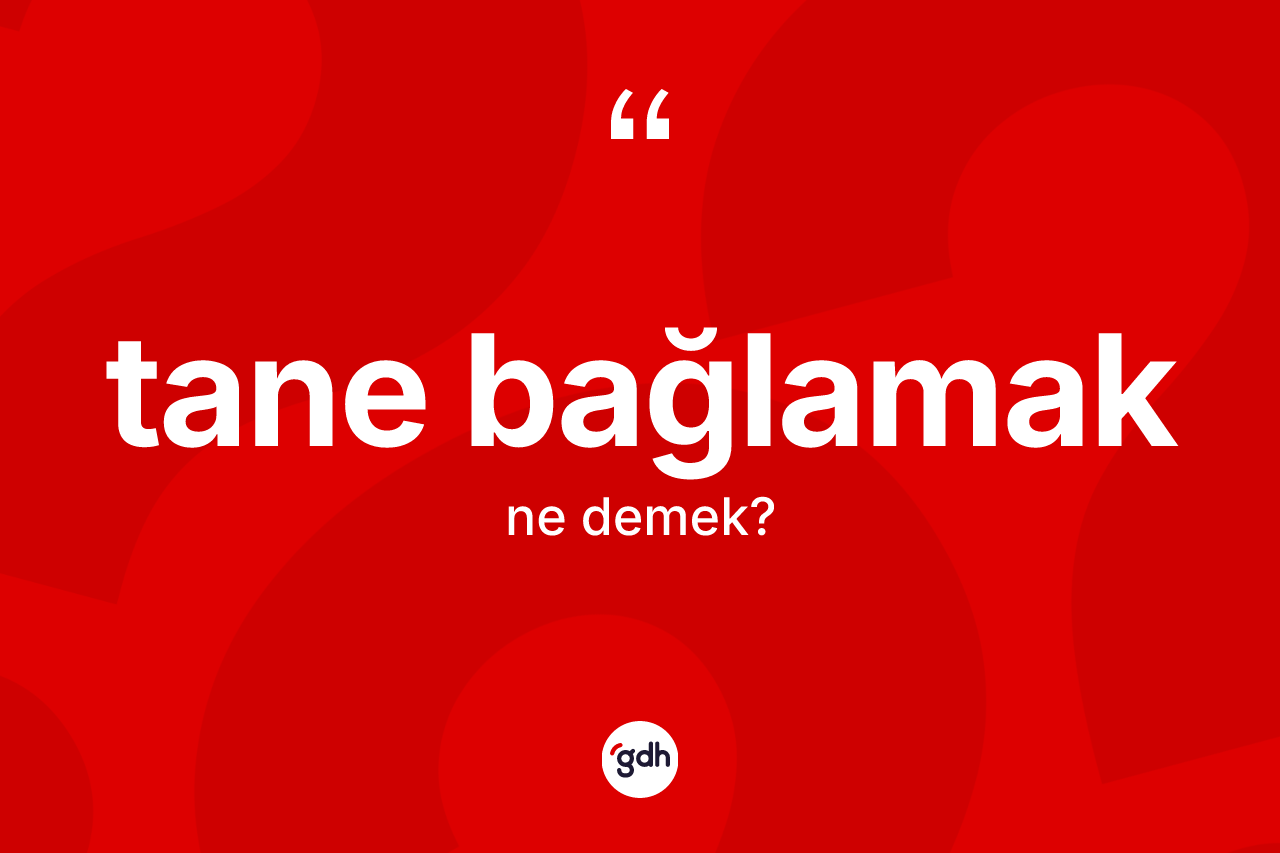 Tane bağlamak ifadesinin anlamı nedir? Tane bağlamak ifadesinin TDK anlamı nedir?