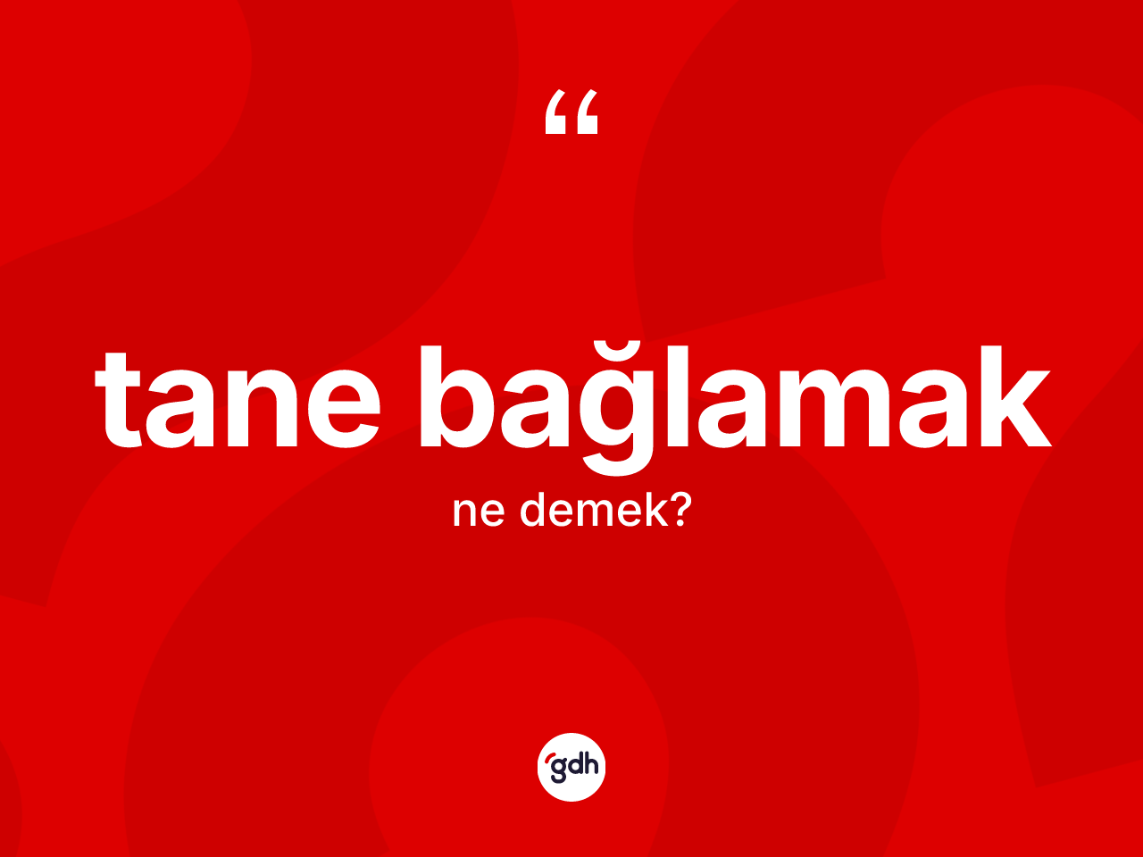 Tane bağlamak ifadesinin anlamı nedir? Tane bağlamak ifadesinin TDK anlamı nedir?