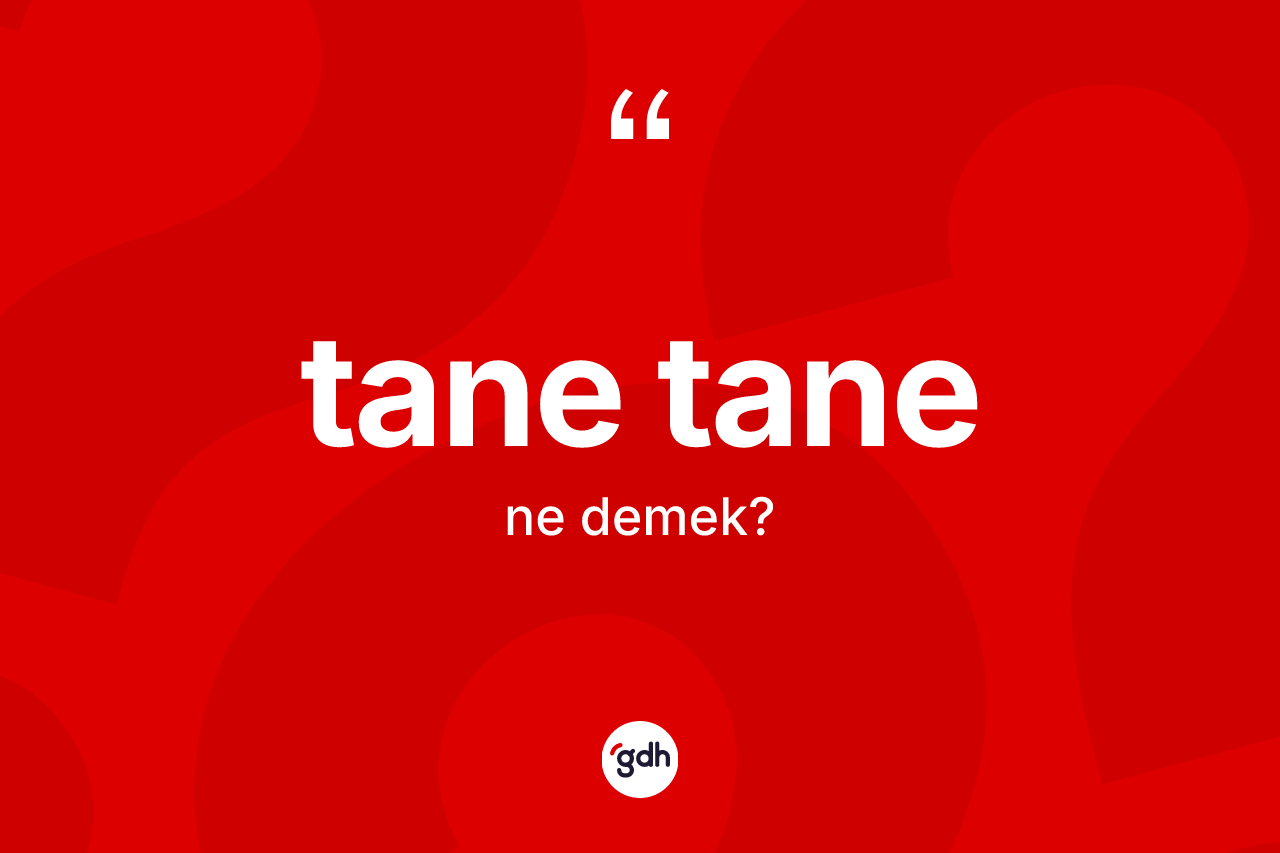 Tane tane nedir? Tane tane kelimesinin TDK'ya göre açıklaması nedir?