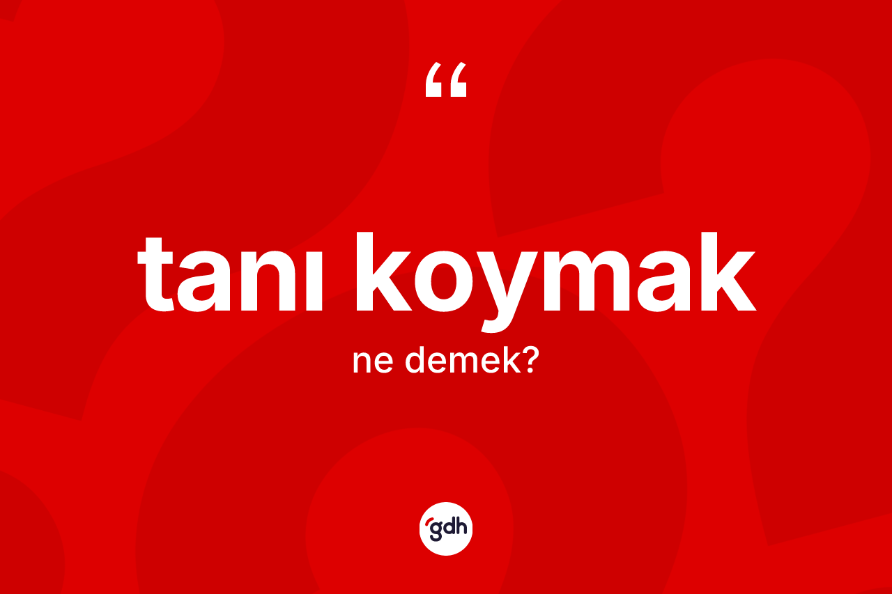 Tanı koymak ifadesinin sözlükteki anlamı nedir? Tanı koymak ifadesinin TDK'ya göre açıklaması nedir?