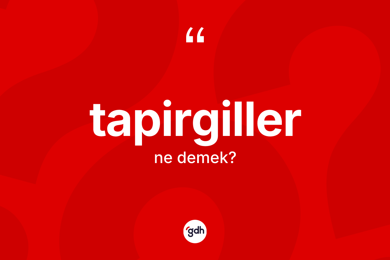 Tapirgiller kelimesinin anlamı nedir? Tapirgillerin kısaca tanımı nedir?