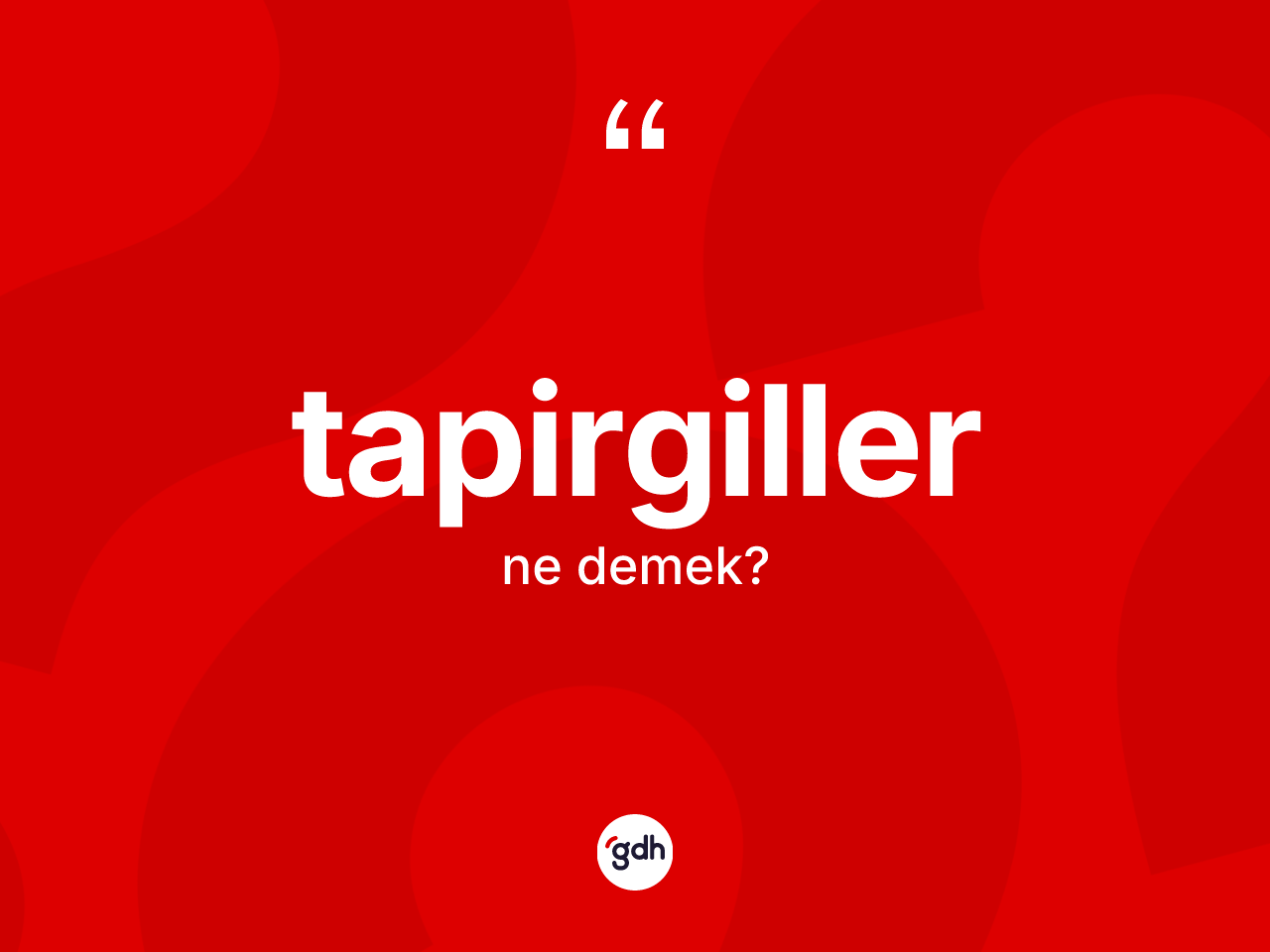 Tapirgiller kelimesinin anlamı nedir? Tapirgillerin kısaca tanımı nedir?