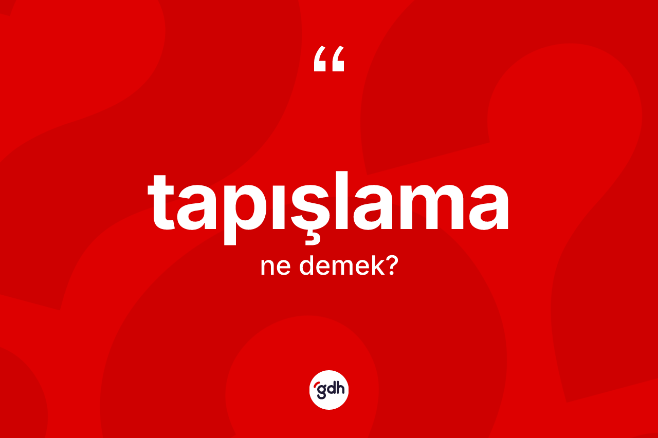 Tapışlama kelimesinin anlamı nedir? Tapışlama kelimesinin kaç farklı anlamı var?