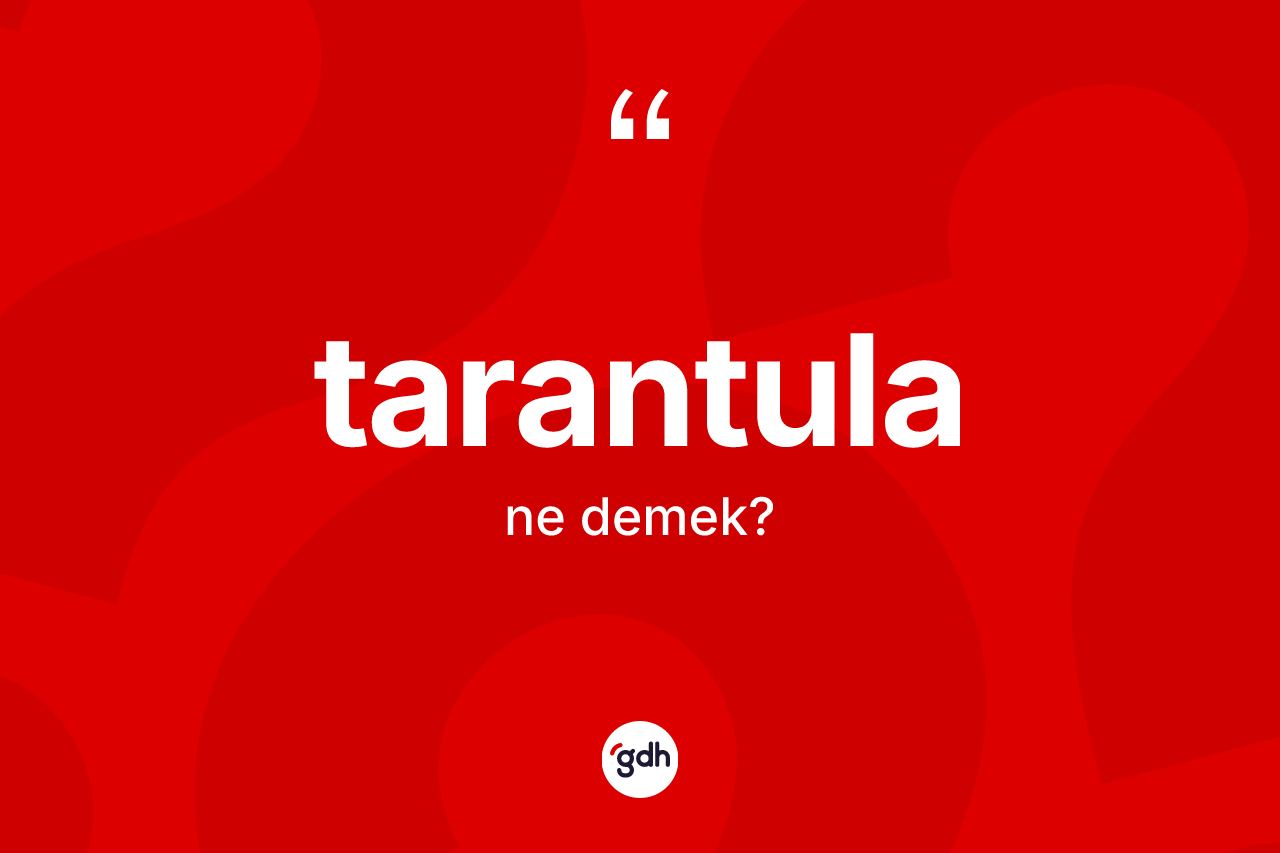 Tarantula kelimesi nedir? Tarantulanın TDK'ya göre anlamı nedir?