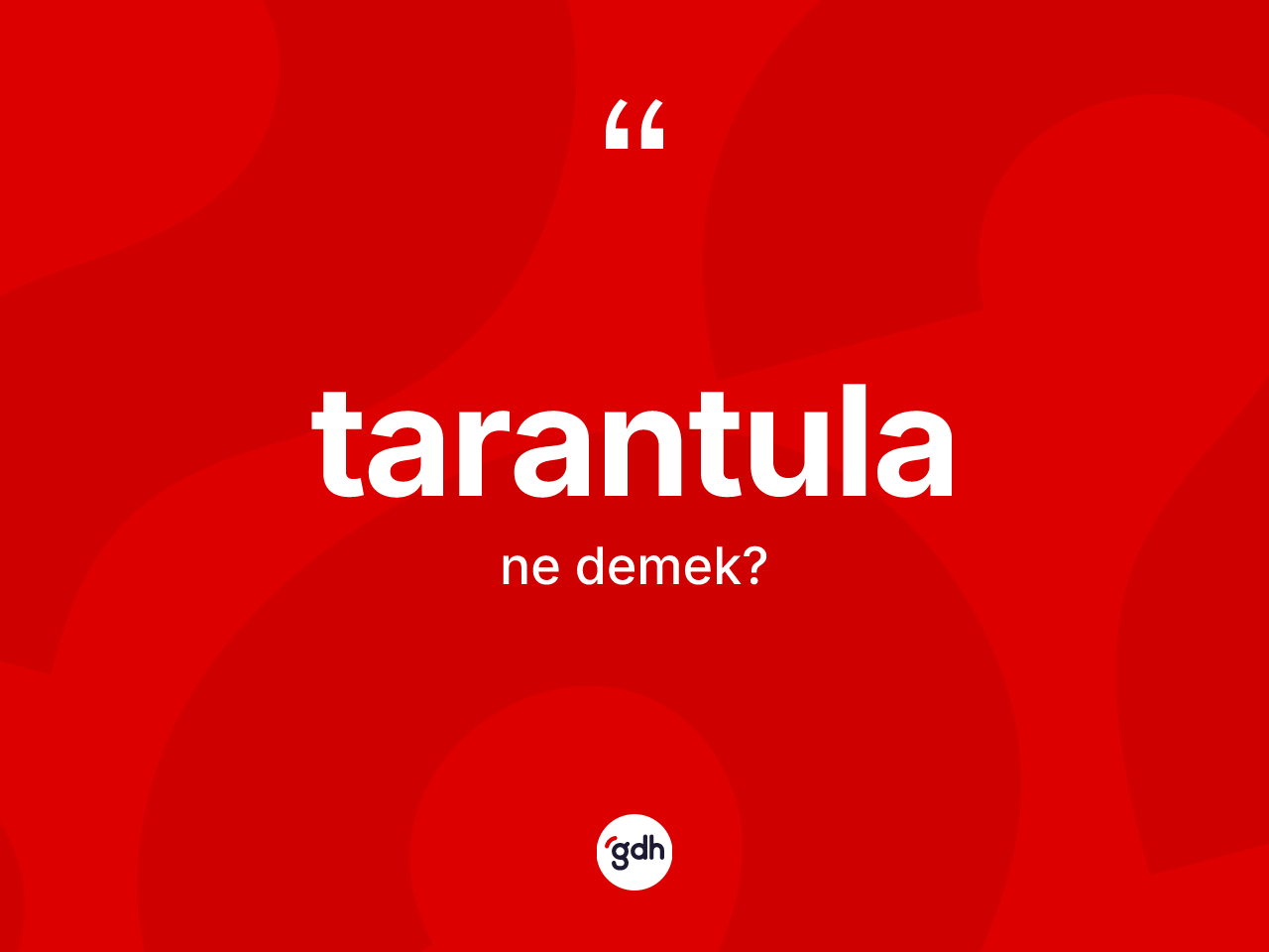 Tarantula kelimesi nedir? Tarantulanın TDK'ya göre anlamı nedir?