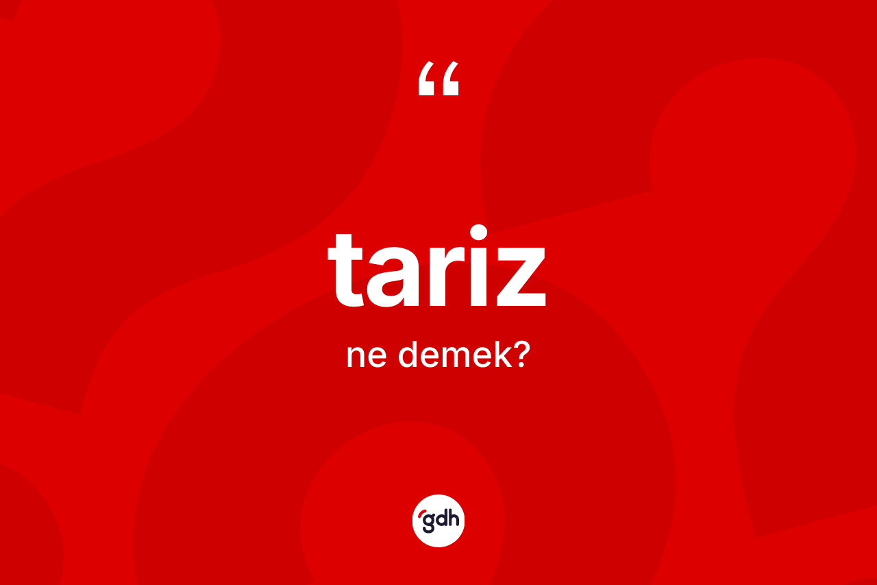 Tariz ne anlama gelir? Tarizin TDK'ya göre anlamı nedir?