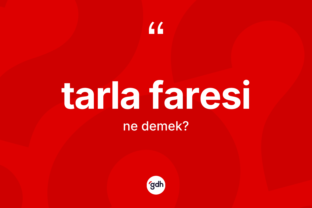 Tarla faresi kelimesi nedir? Tarla faresi kelimesinin TDK anlamı nedir?