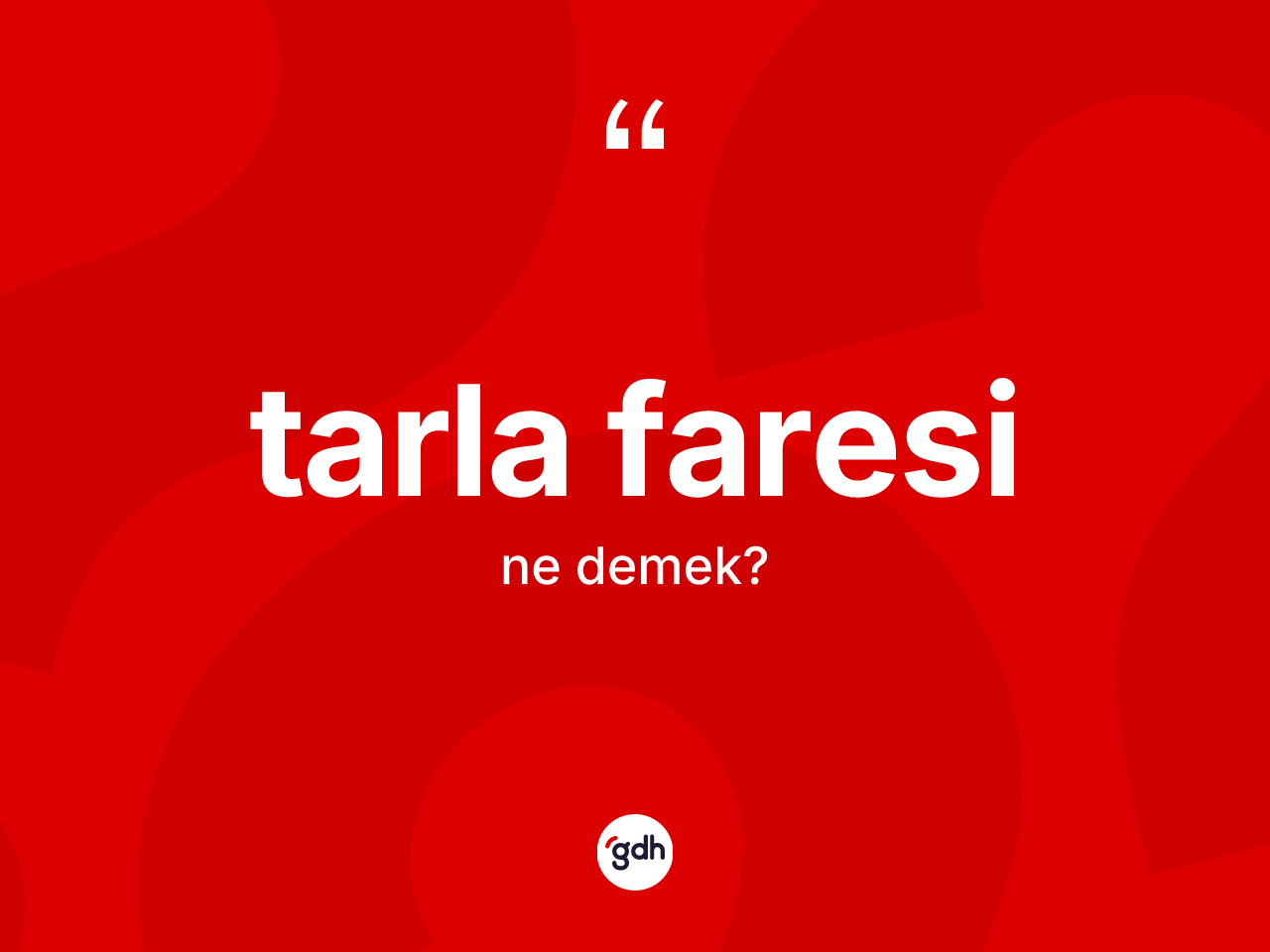 Tarla faresi kelimesi nedir? Tarla faresi kelimesinin TDK anlamı nedir?
