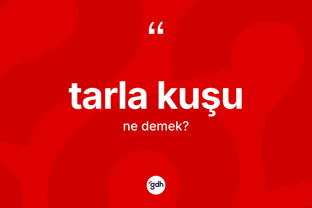 Tarla kuşu nedir? Tarla kuşunun TDK'ya göre anlamı nedir?