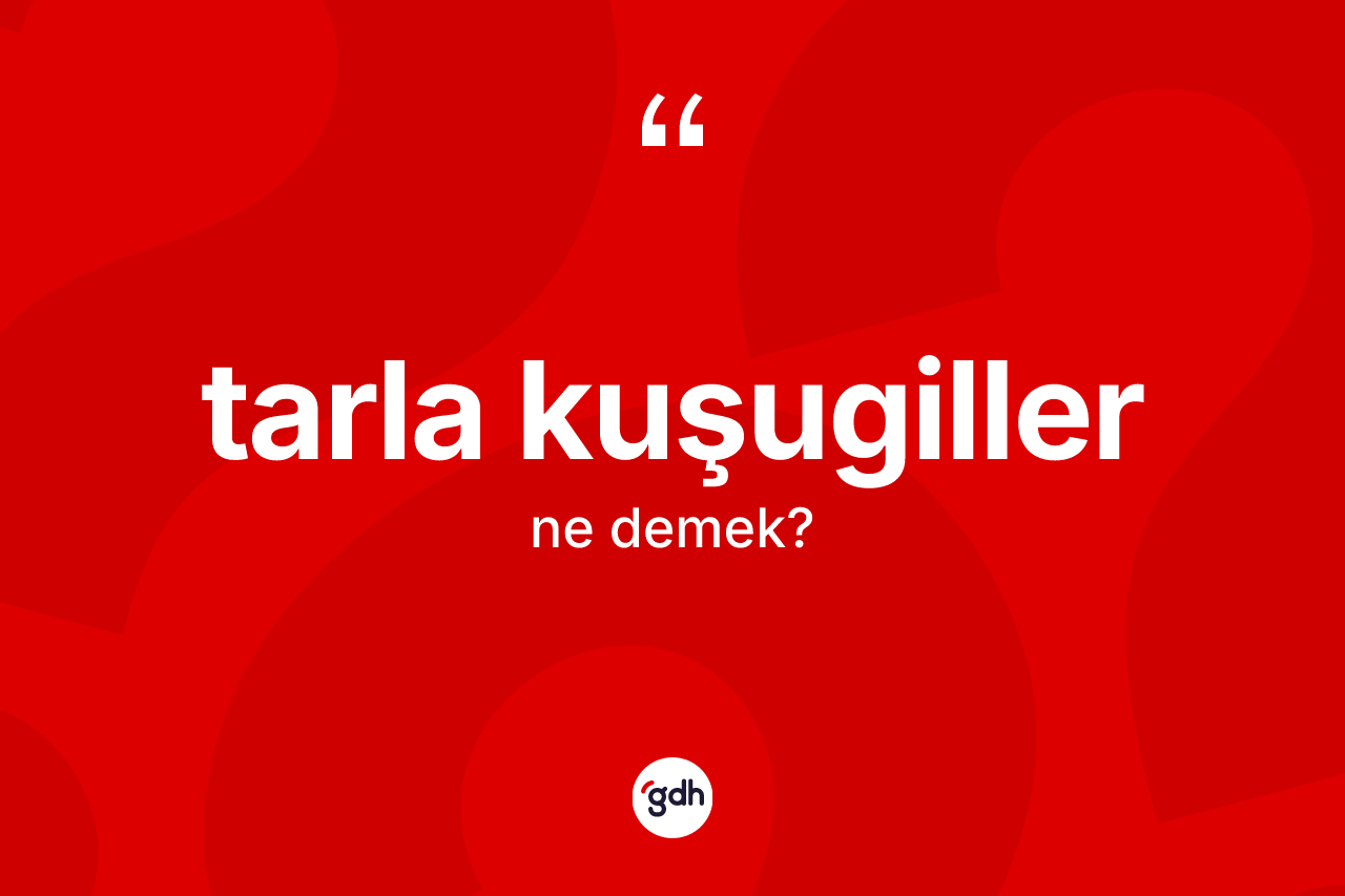 Tarla kuşugiller kelimesinin sözlükteki tanımı nedir? Tarla kuşugillerin halk arasındaki kullanımı nasıldır?