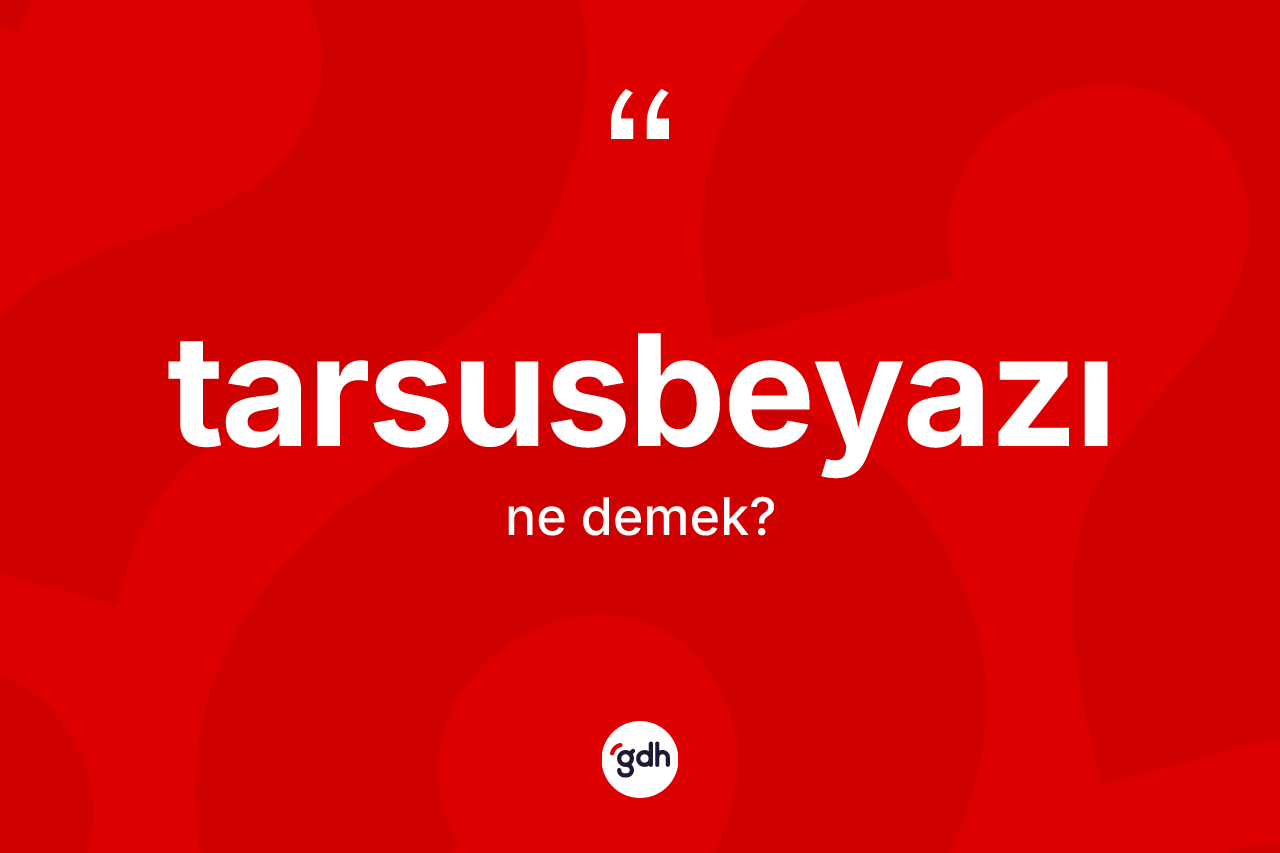 Tarsusbeyazı kelimesinin anlamı nedir? Tarsusbeyazı kelimesinin özellikleri nelerdir?