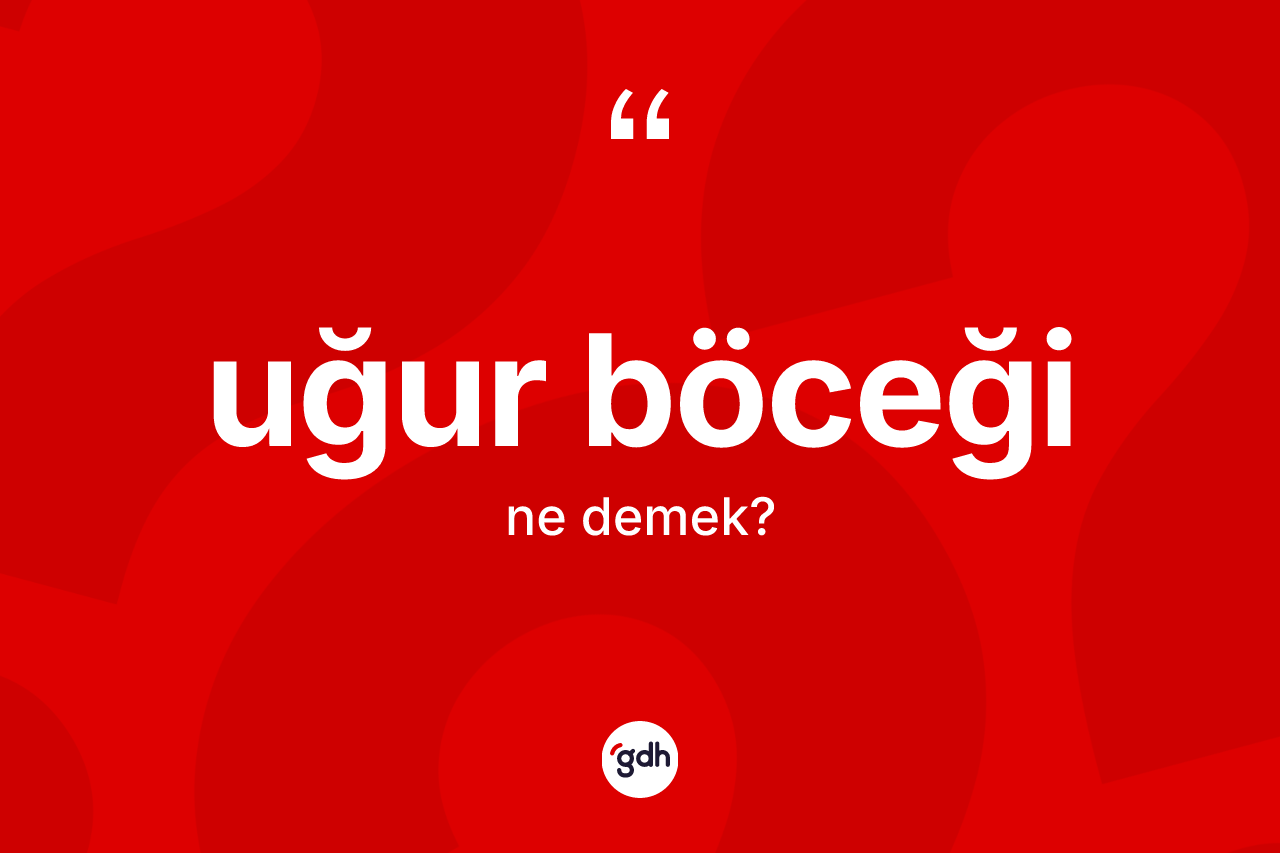 Uğur böceği kelimesinin tanımı nedir? Uğur böceğinin TDK'ya göre anlamı nedir?