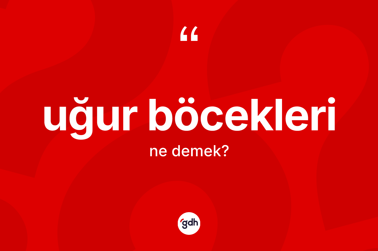 Uğur böcekleri kelimesinin anlamı nedir? Uğur böceklerinin TDK'ya göre anlamı nedir?