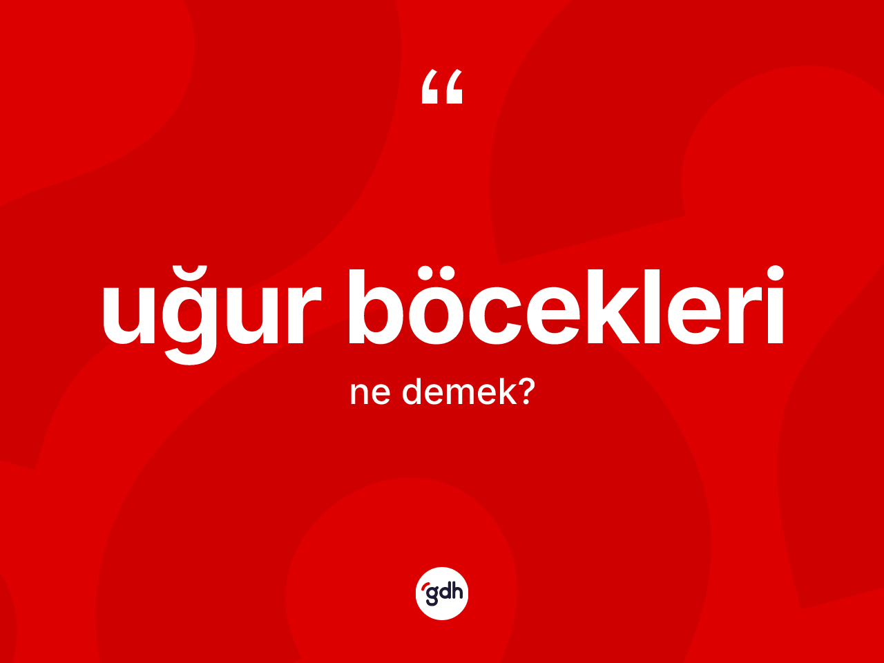 Uğur böcekleri kelimesinin anlamı nedir? Uğur böceklerinin TDK'ya göre anlamı nedir?