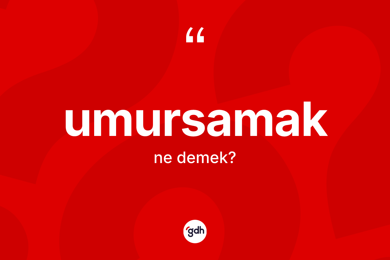 Umursamak kelimesinin anlamı nedir? Umursamağın halk arasındaki kullanımı nasıldır?