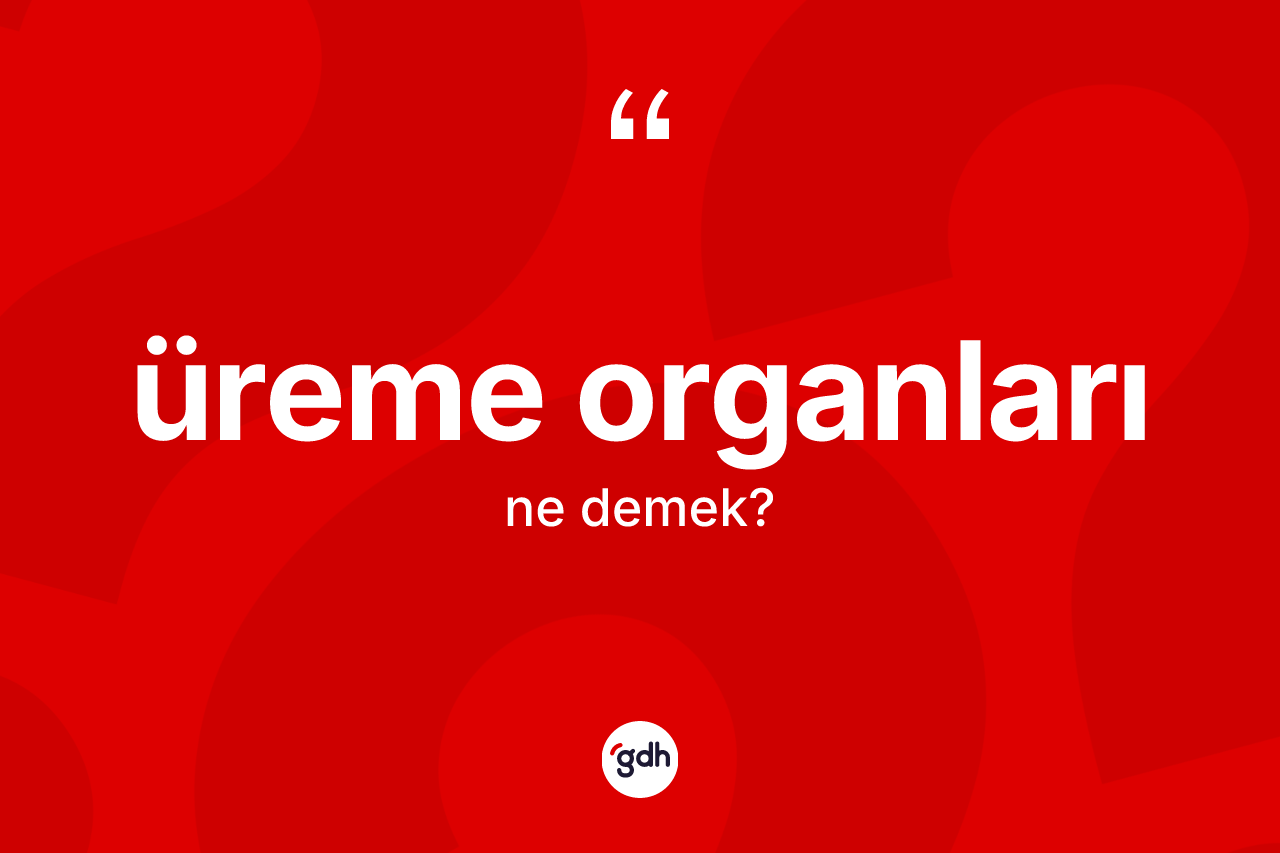 Üreme organları ne demek? Üreme organlarının TDK'ya göre anlamı nedir?