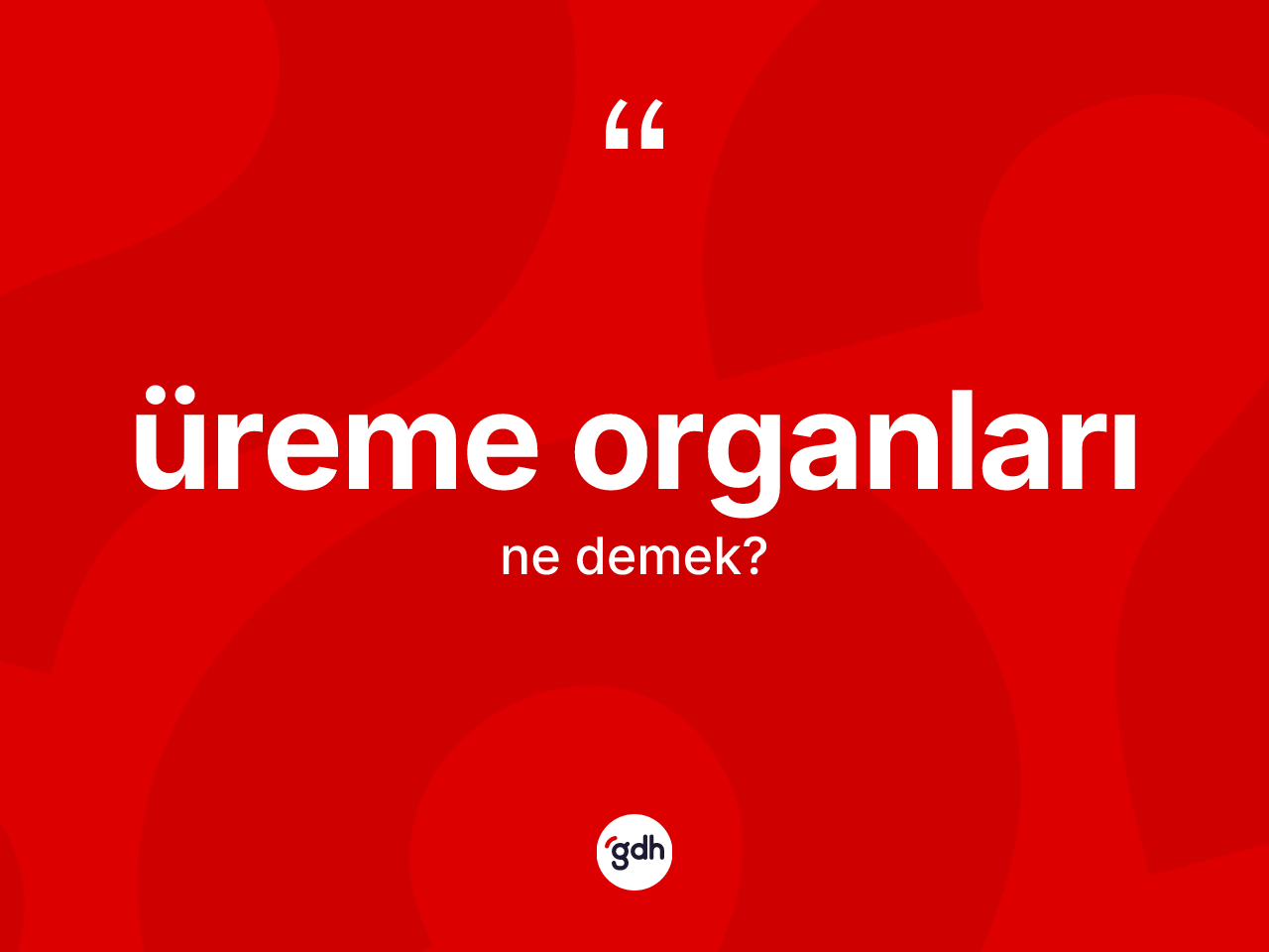 Üreme organları ne demek? Üreme organlarının TDK'ya göre anlamı nedir?