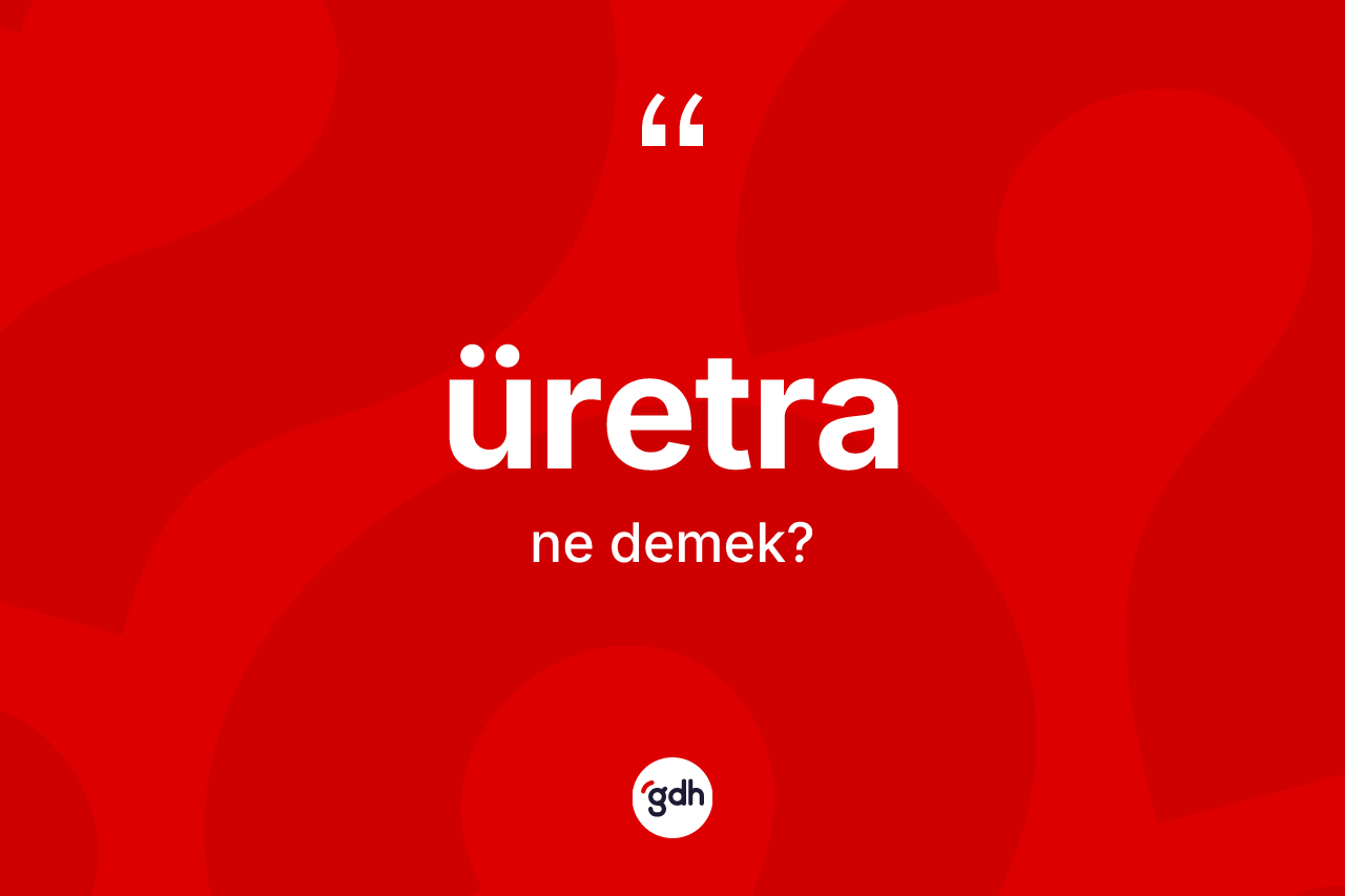 Üretra kelimesi ne anlama gelir? Üretra kelimesinin TDK anlamı nedir?