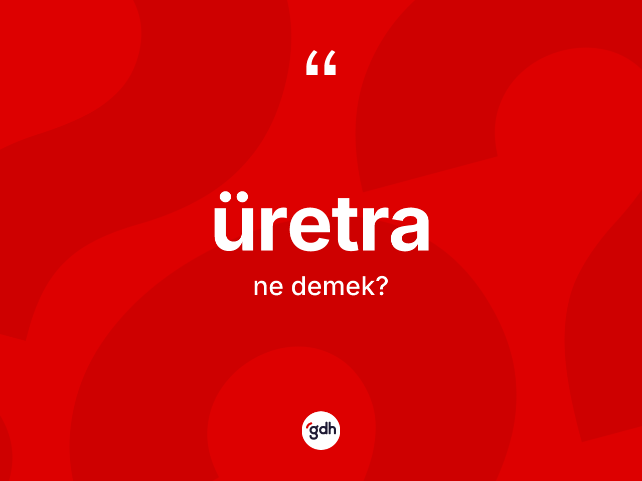 Üretra kelimesi ne anlama gelir? Üretra kelimesinin TDK anlamı nedir?