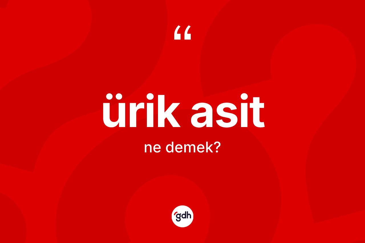 Ürik asit kelimesi nedir? Ürik asidin TDK'ya göre anlamı nedir?