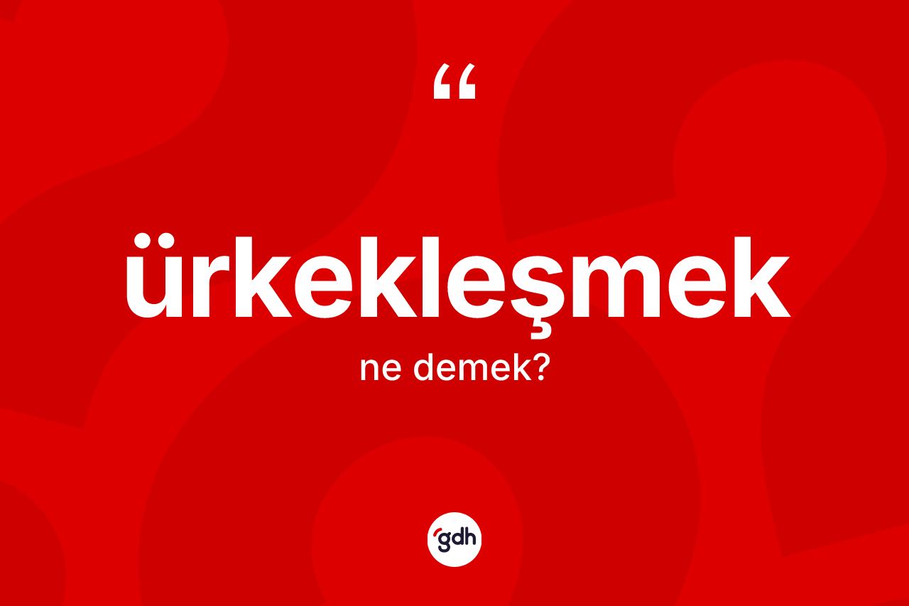 Ürkekleşmek kelimesinin anlamı nedir? Ürkekleşmeğin TDK'ya göre anlamı nedir?