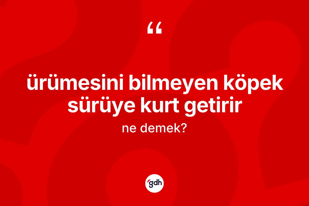 Ürümesini bilmeyen köpek sürüye kurt getirir ifadesinin anlamı nedir? Ürümesini bilmeyen köpek sürüye kurt getirir sözünün TDK anlamı nedir?
