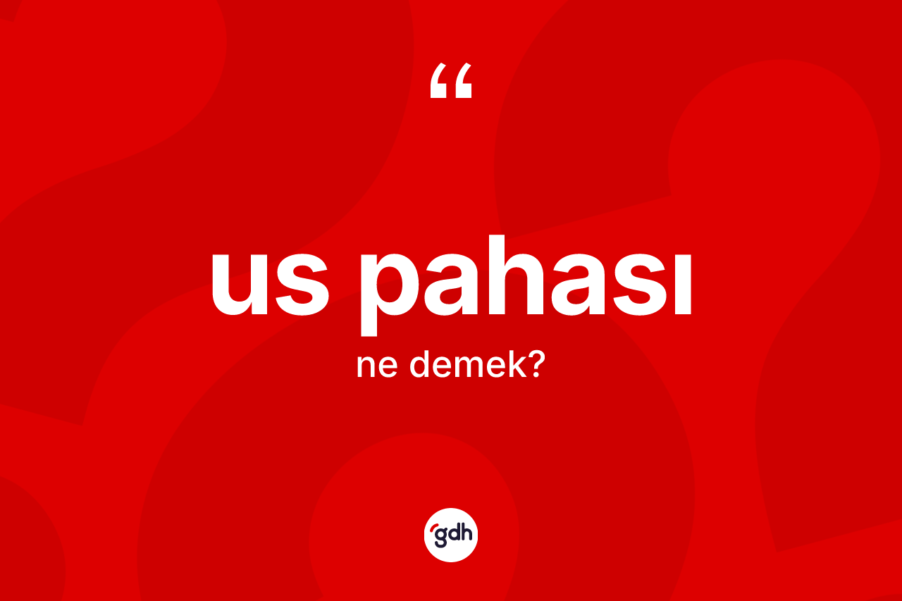Us pahası kelimesi ne demek? Us pahası kelimesinin TDK anlamı nedir?