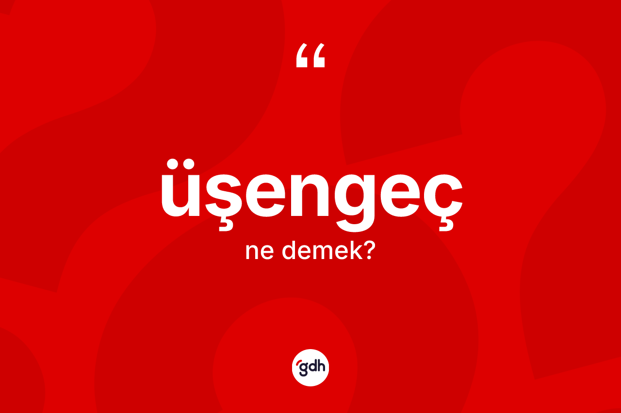 Üşengeç kelimesi nedir? Üşengeç kelimesinin özellikleri nelerdir?