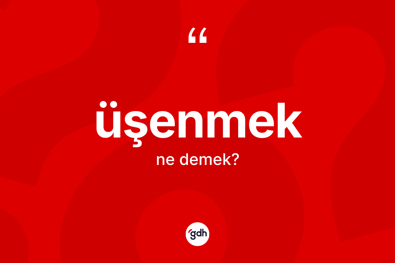 Üşenmek ne demek? Üşenmek kelimesinin TDK anlamı nedir?