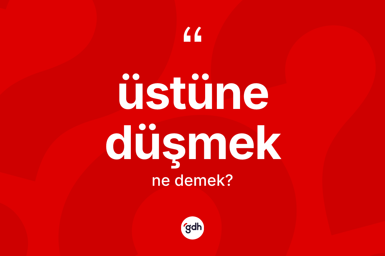 Üstüne düşmek ifadesinin anlamı nedir? Üstüne düşmek ifadesinin kaç farklı anlamı var?