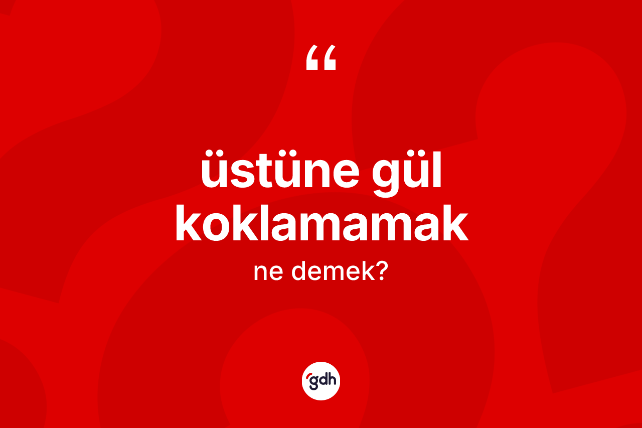 Üstüne gül koklamamak ne demek? Üstüne gül koklamamak sözünün TDK tanımı nedir?