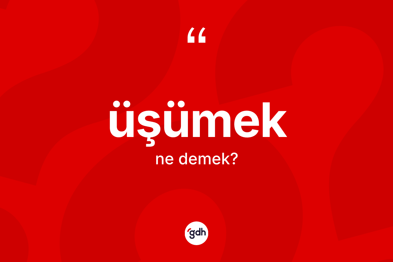 Üşümek kelimesinin tanımı nedir? Üşümeğin TDK'ya göre anlamı nedir?